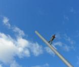 _wsb_156x138_SAM_0933+Zuschnitt